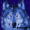 User - 1387